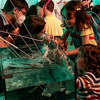 Conchas | 22 maio 2022 @ Convento São Francisco, Coimbra | Foto ©  Ana Filipa Flores | d'Orfeu AC