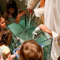 Conchas | 12 junho 2016 @ Quartel das Artes Dr. Alípio Sol, Oliveira do Bairro | Foto © Ana Filipa Flores (d'Orfeu AC)