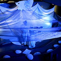 Ensaios Conchas | 04 abril 2015 @ Museu Marítimo de Ílhavo | Foto © Ana Filipa Flores (d'Orfeu AC)