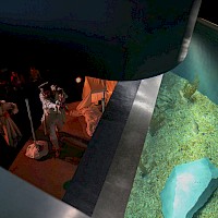 Conchas | 17 setembro 2016 @ Museu Marítimo de Ílhavo | Foto © Ana Filipa Flores (d'Orfeu AC)