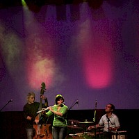 Toques do Caramulo | 19 novembro 2011 @ Centro das Artes e do Espetáculo de Sever do Vouga | Foto © Mário Abreu (d'Orfeu AC)