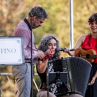 Coletânea Estefânia | 28 julho 2024 @ Parque do Rio Ul, São João da Madeira | Foto © Ana Filipa Flores | d'Orfeu AC