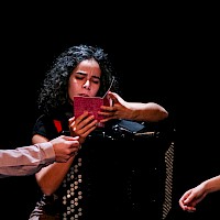 Coletânea Estefânia | 18 fev 2023 @ ACERT, Tondela | Foto © Ana Filipa Flores | d'Orfeu AC