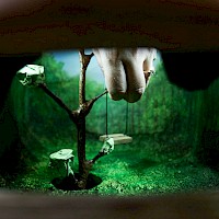 Árvore-Nuvem | Criação d'Orfeu AC 2024 | Foto © Ana Filipa Flores