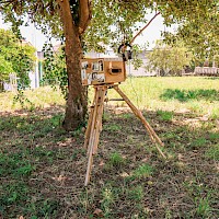 Árvore-Nuvem | Criação d'Orfeu AC 2024 | Foto © Ana Filipa Flores